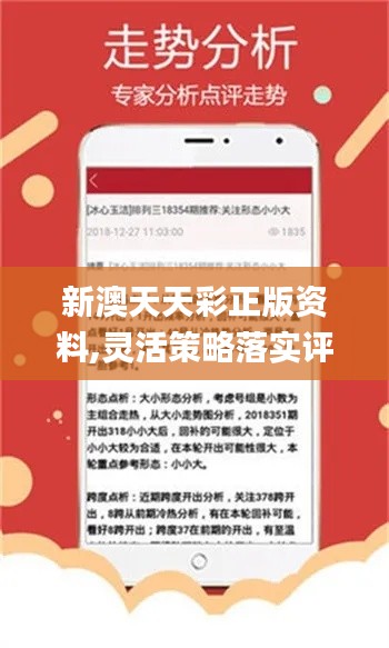 新澳天天彩免费资料查询85期,高效执行方案_模块版39.398
