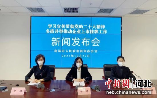 廊坊上市公司现状、机遇与挑战解析