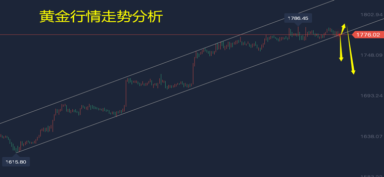 黄金实时行情分析与小巷宝藏探索之旅揭秘