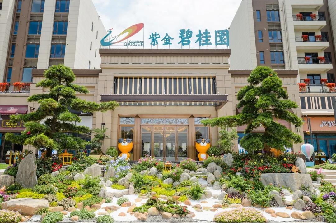 陆河碧桂园最新资讯大全，全面指南与获取步骤