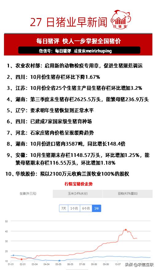行情宝今日猪评，猪肉市场的观点碰撞与个人立场