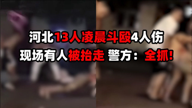 沧州最新打架事件深度解析，探究真相与立场背后的原因与影响