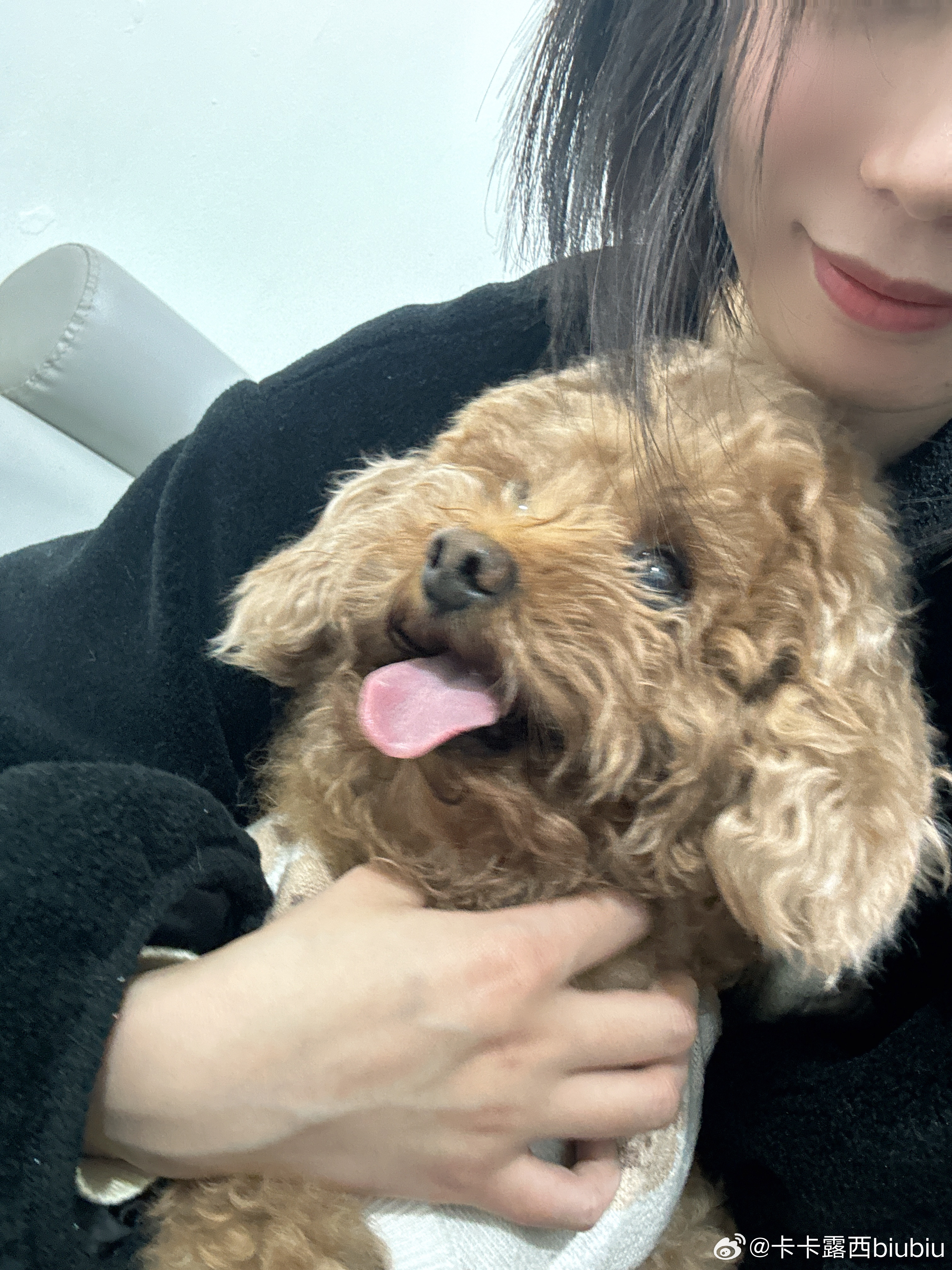 皮皮薰最新,皮皮薰最新，如何完成一项任务或学习一种技能的详细步骤指南