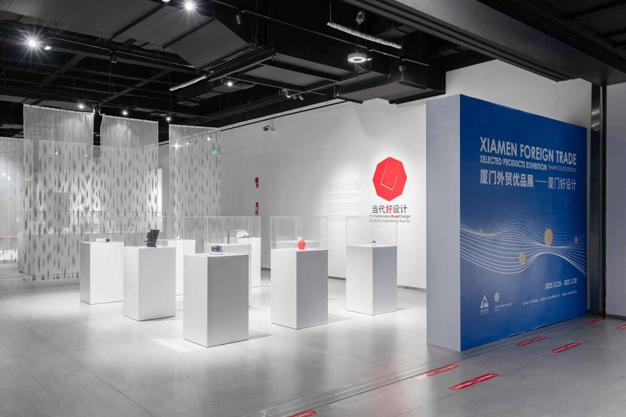 厦门最新展览，艺术、科技与文化的璀璨交汇点
