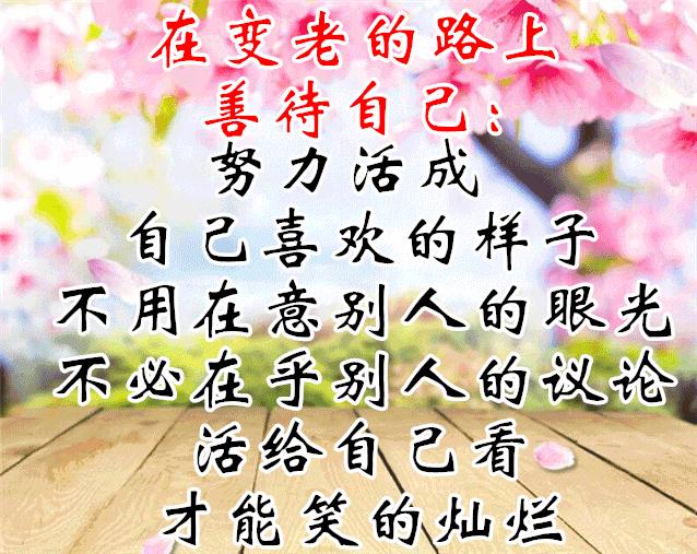 文化与时代的璀璨旅程，灯花笑最新篇章开启！