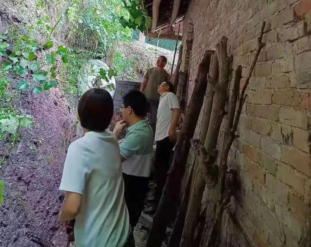 乐山最新水位，实时数据与观点论述分析