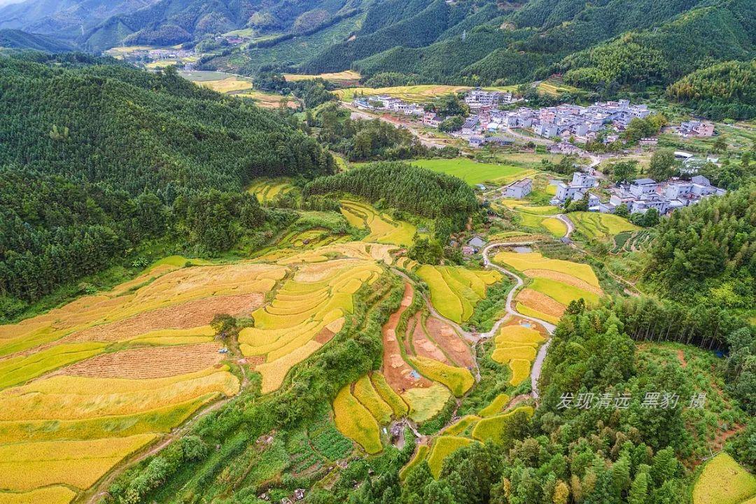 黑山梯田最新美景，人间仙境的壮丽展现