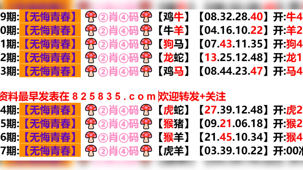 新奥门六开奖结果2024开奖记录,连贯性方法执行评估_任务版66.311