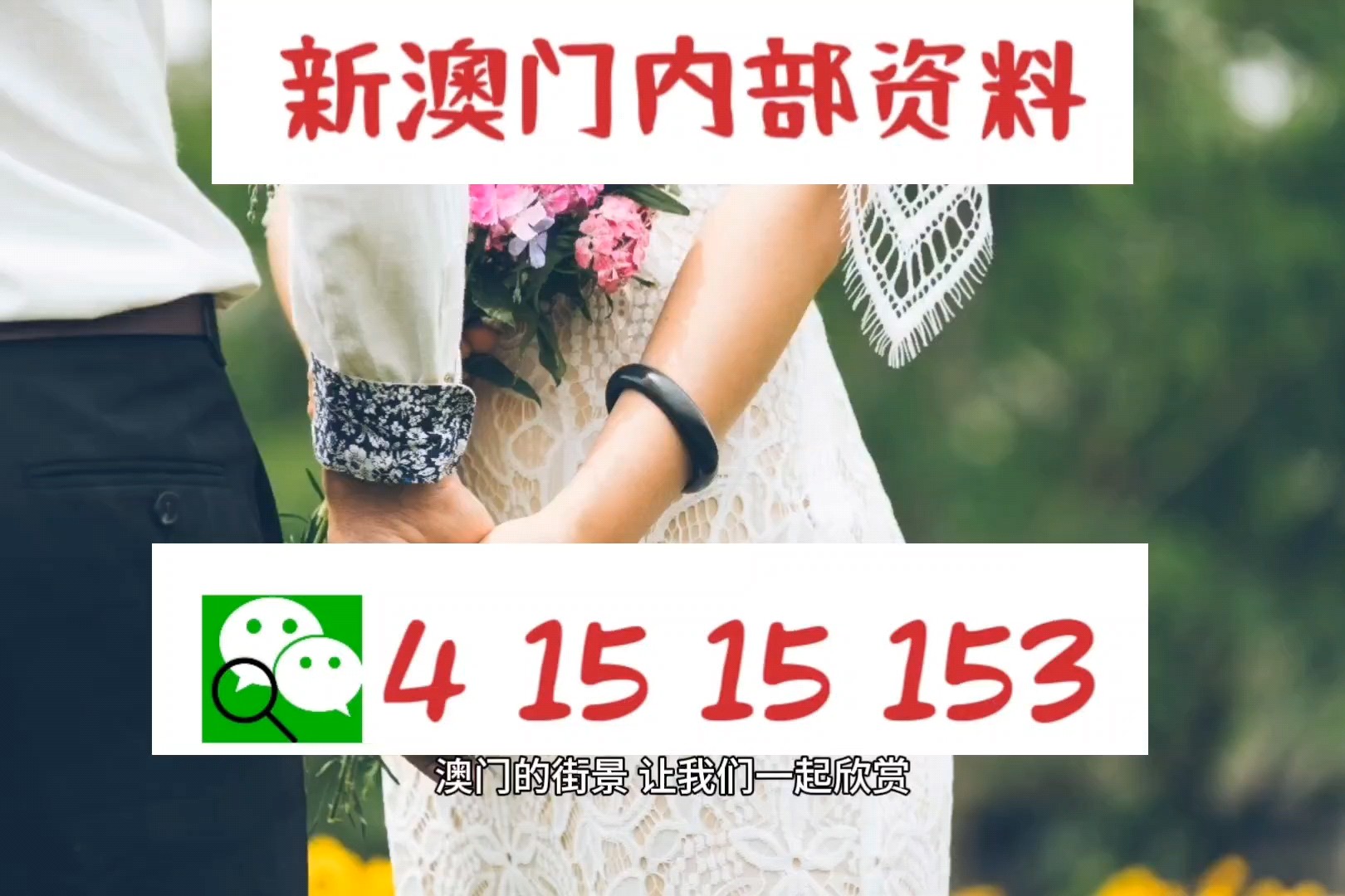 新澳三中三公式,专业数据解释设想_结合版87.408