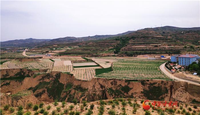 山楂树之恋演员的成长之路，变化、学习与自信的力量
