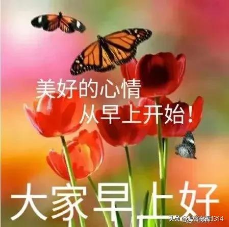 科技领域突破性进展的最新动态