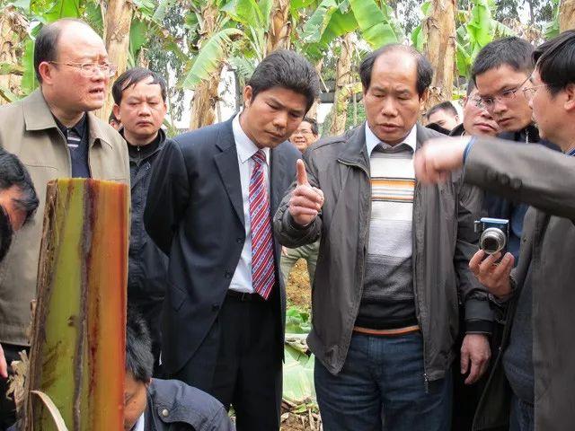 大香蕉最新资讯,大香蕉最新资讯，产业动态与各方观点探析