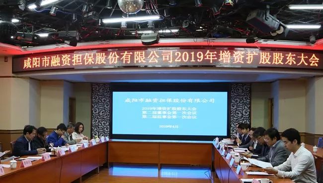 担保公司最新动态概览