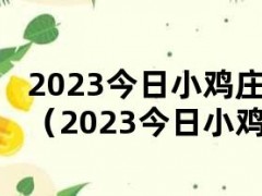 2023今日小鸡最新解答,2023今日小鸡最新解答，一场探索自然美景的旅行，寻找内心的平和之地