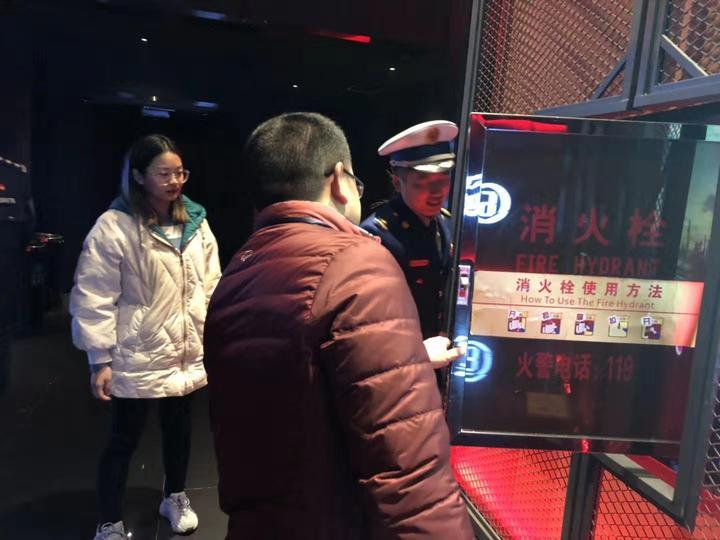 元旦电影，文化现象的深度探究
