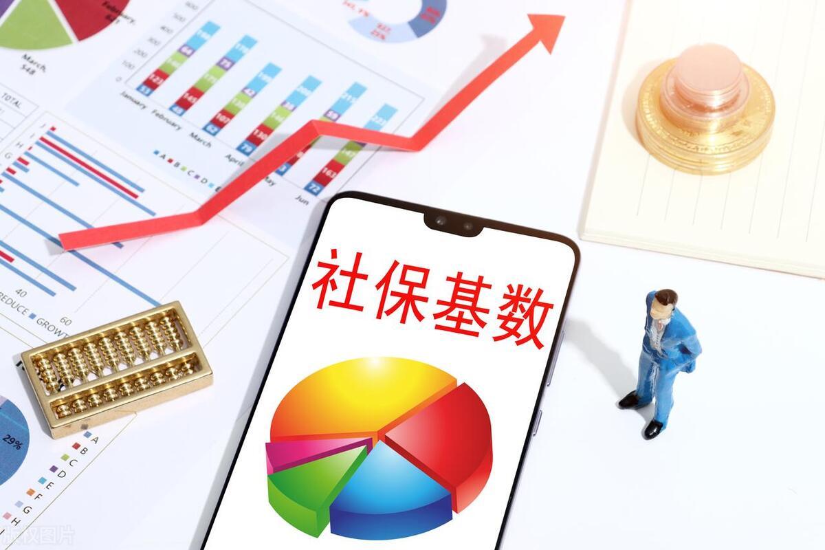 社保最新收费标准解析与指南✨