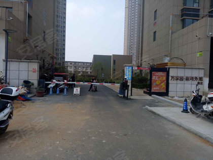 唐河外滩最新进展动态更新🌊