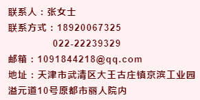 武清最新招聘资讯，科技之光引领未来职业发展之路