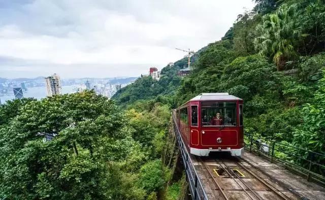 香港过关最新规定，变化中的机遇与成就感的源泉