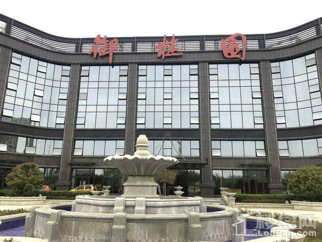 中元御桂园最新动态，探索自然美景，寻找内心平和与宁静的旅程