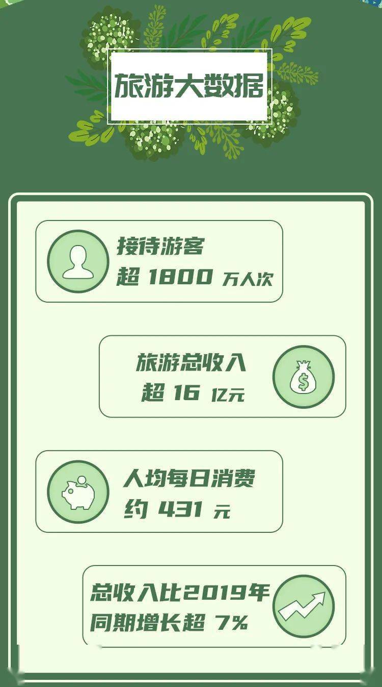 偃师户外游最新资讯，探索与反思之旅