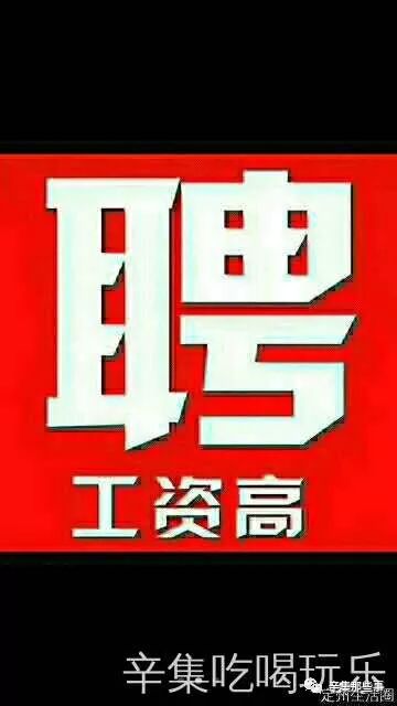 晋州最新招聘信息全面概览