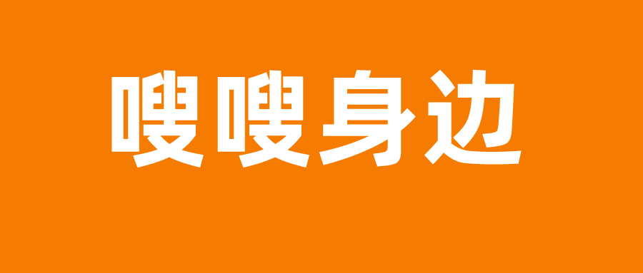 科技、社会与经济三大领域热点解析最新资讯速递