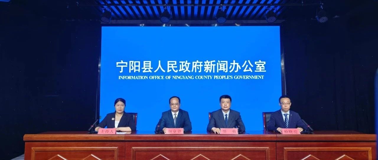 山东宁阳最新资讯更新✨