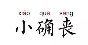 最新丧说说背后的温馨日常故事揭秘
