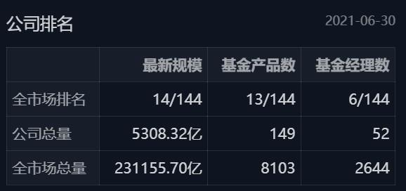 基金最新动态概览