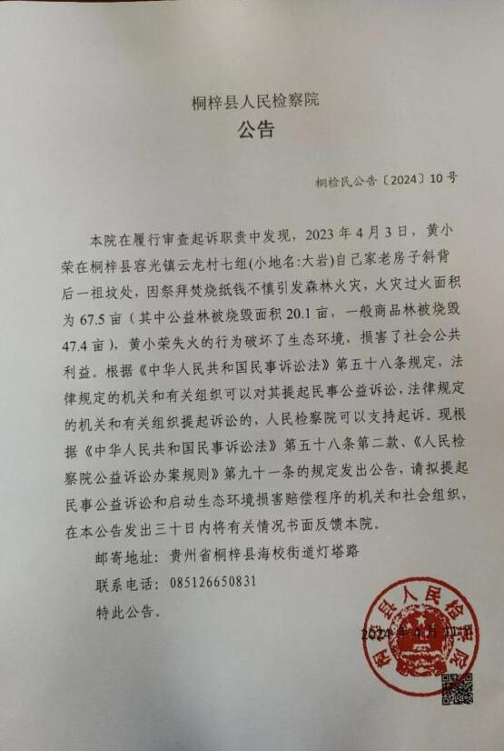 桐梓最新公告发布，观点阐述与分析摘要
