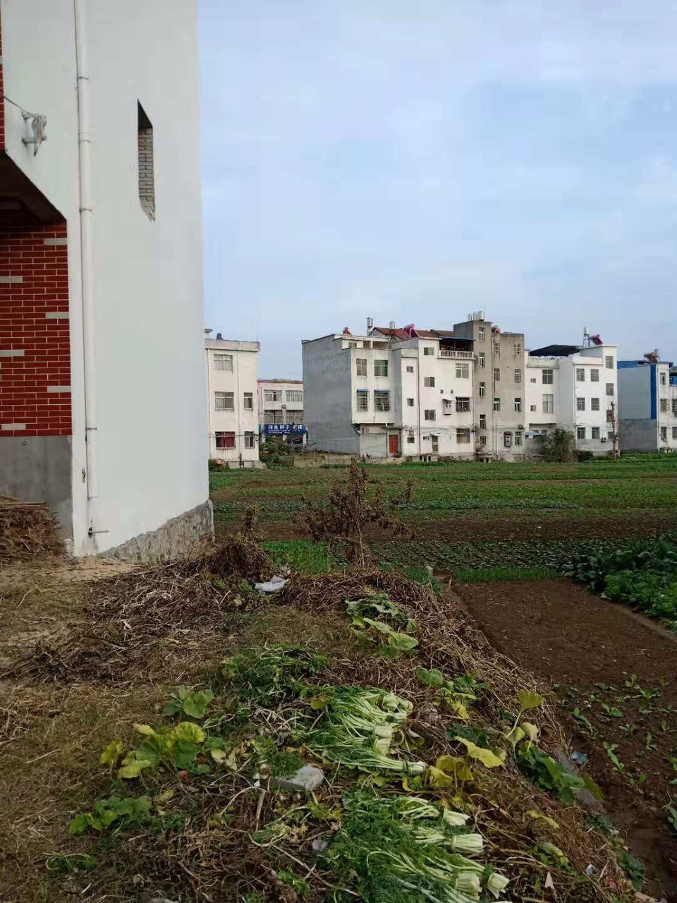 最新丁家园，学习变化，自信铸就梦想成就