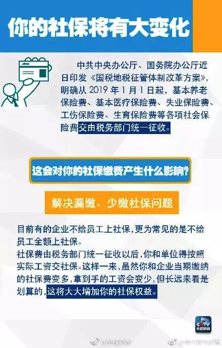 最新社保缴费指南，探寻自然美景之旅