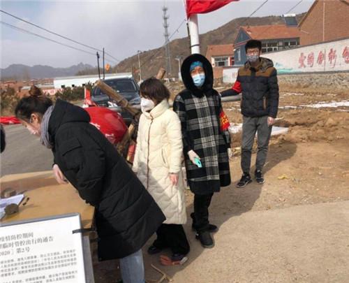 隆化最新疫情观点论述，最新动态与应对策略
