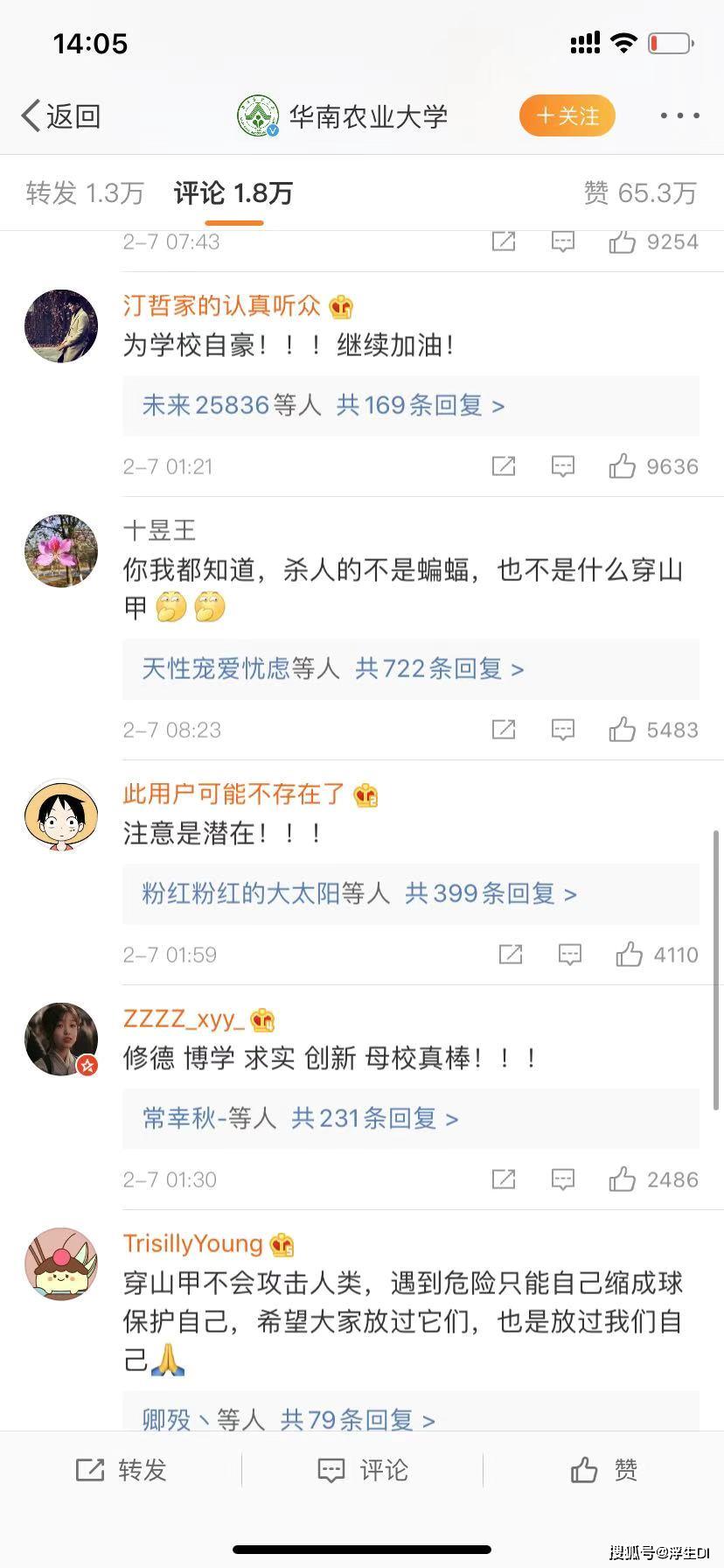 最新肺病信息探索，自然美景之旅与内心平和的追寻