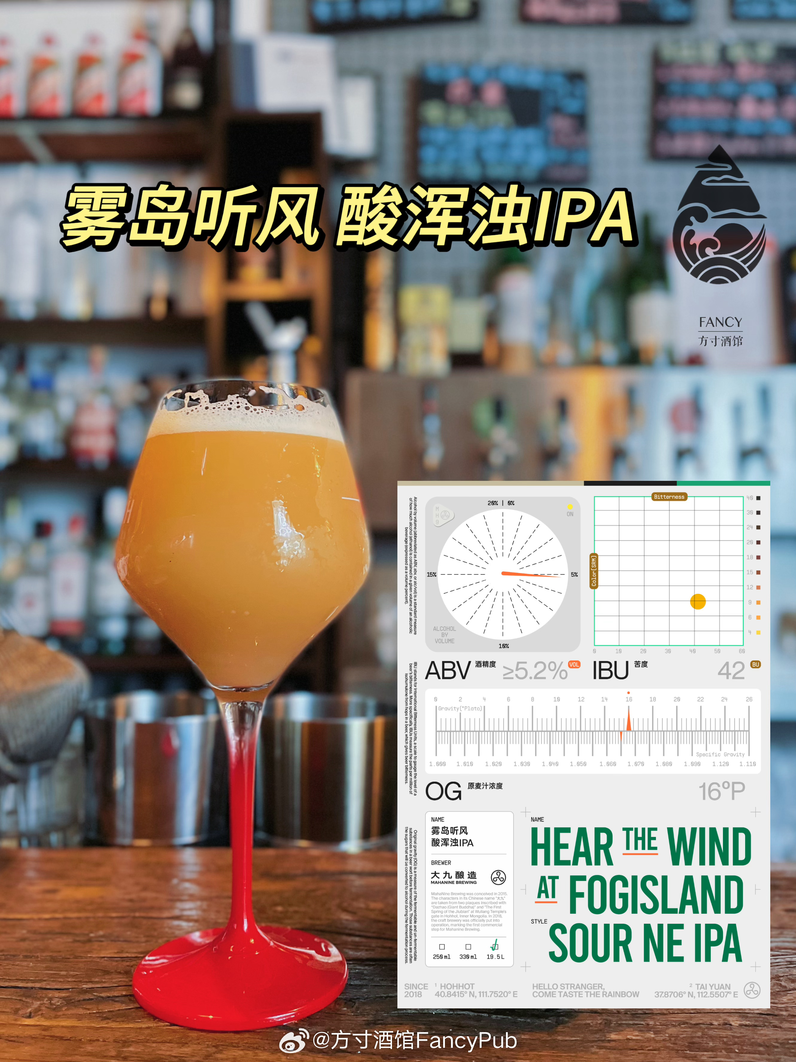 IPA最新奇遇，友情探险与家的温馨之旅
